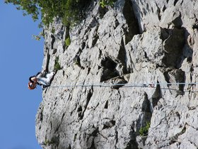 IMG_4942.JPG