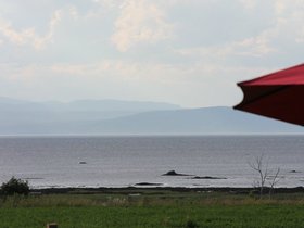IMG_4968.JPG
