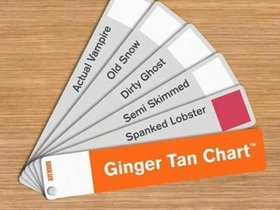 Ginger.Tan.Chart.jpg
