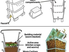 Vermicompost.jpg