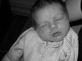 img_1503.jpg
