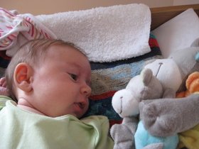 img_1690.jpg