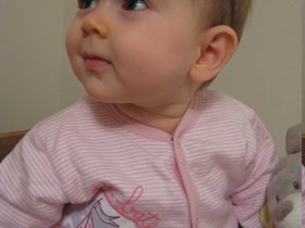 img_2533.jpg