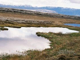 052-sur_la_route_de_vik_skaftafell.jpg
