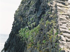 111-de_holmavik_vers_le_sud-mur_d_orgues_basaltiques.jpg