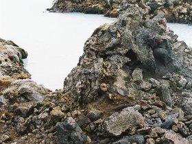 139-peninsule_des_reykjanes-blue_lagoon.jpg