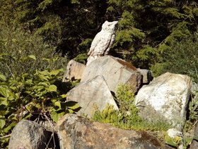 20180721_173505.jpg