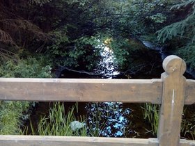 20180721_183301.jpg