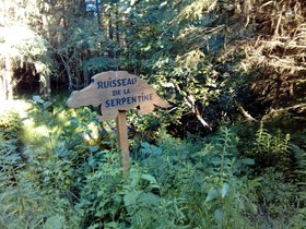 20180721_183321.jpg