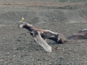 20230402_054458.jpg