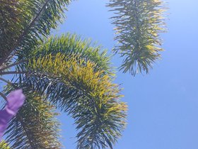20230402_105133.jpg