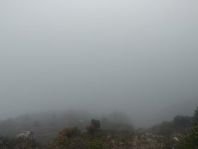 20230404_113851.jpg