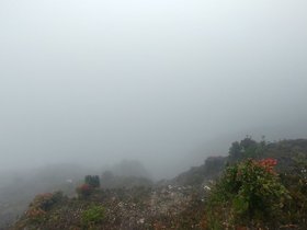 20230404_113858_HDR.jpg