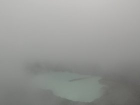 20230404_115915.jpg
