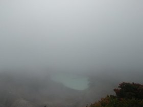 20230404_115930.jpg