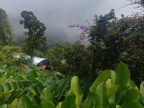 20230404_125733_HDR.jpg