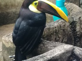 20230404_134829.jpg