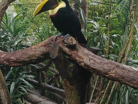 20230404_135247.jpg