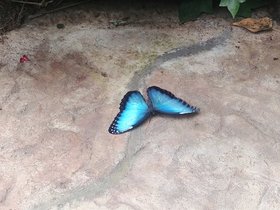 20230404_141528.jpg