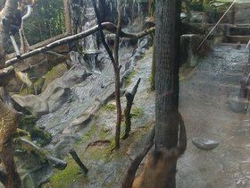 20230404_142136.jpg
