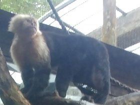 20230404_142200~2.jpg