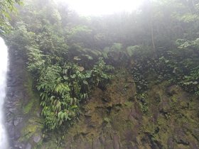 20230404_151346.jpg