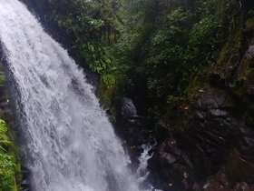 20230404_153718_HDR.jpg