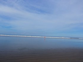 20230405_072153.jpg