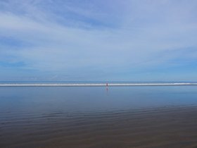 20230405_072155.jpg