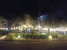 20230405_191054.jpg