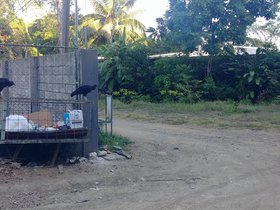 20230406_064547.jpg