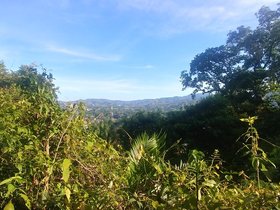 20230406_070241_HDR.jpg