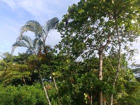 20230407_070744.jpg
