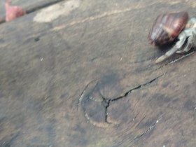 20230407_115042.jpg