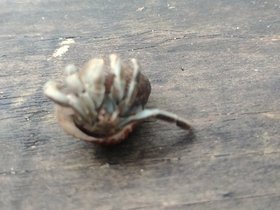 20230407_115107.jpg