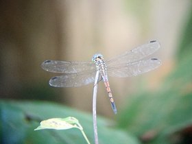 IMG-20230407-WA0016.jpg