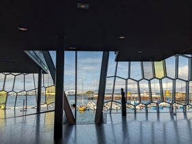PXL_20240518_155505803.jpg