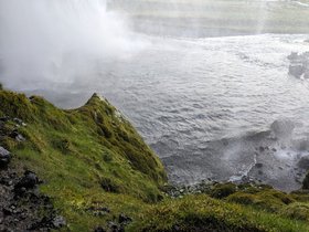 PXL_20240522_082020927.jpg