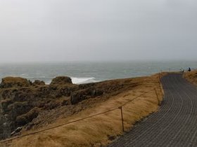 PXL_20241112_130519789.webm