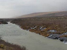 PXL_20241113_130728812.webm