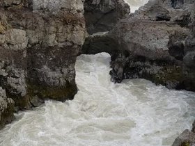 PXL_20241113_132003812.webm