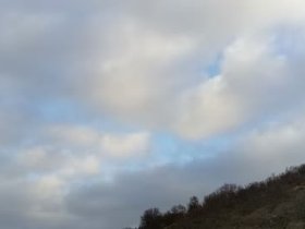 PXL_20241113_132022738.webm